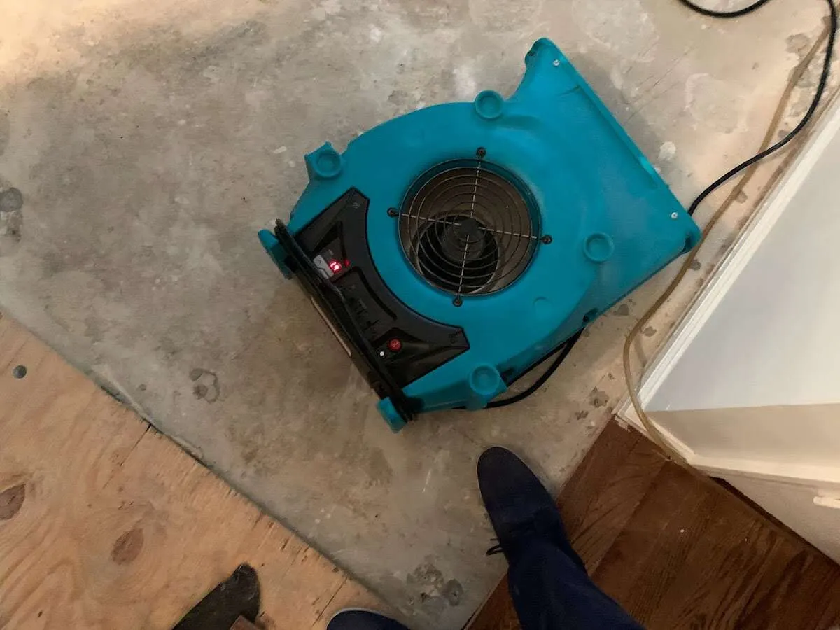 Air mover drying subfloor during Leak Detection & Repair in Union Beach